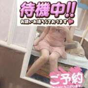 ヒメ日記 2026/08/01 09:40 投稿 もも トマトなび
