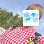 ヒメ日記 2026/08/15 06:25 投稿 もも トマトなび