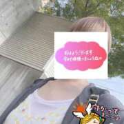 ヒメ日記 2026/08/24 06:26 投稿 もも トマトなび