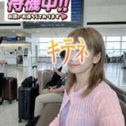 ヒメ日記 2026/09/01 12:48 投稿 もも トマトなび