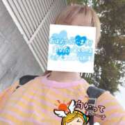 ヒメ日記 2026/09/04 06:26 投稿 もも トマトなび