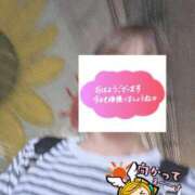 ヒメ日記 2026/09/12 06:24 投稿 もも トマトなび