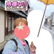 ヒメ日記 2026/09/12 10:03 投稿 もも トマトなび