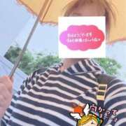 ヒメ日記 2026/09/20 06:22 投稿 もも トマトなび
