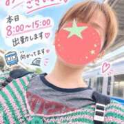 ヒメ日記 2026/09/24 06:28 投稿 もも トマトなび