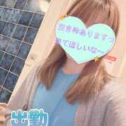 ヒメ日記 2026/10/17 07:47 投稿 もも トマトなび