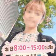ヒメ日記 2026/10/19 06:30 投稿 もも トマトなび