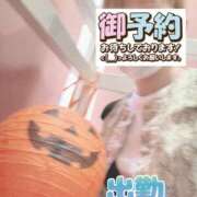 ヒメ日記 2026/10/23 07:49 投稿 もも トマトなび