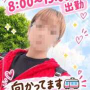 ヒメ日記 2026/10/29 06:36 投稿 もも トマトなび