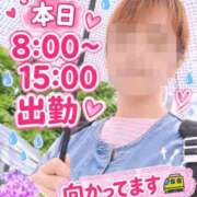 ヒメ日記 2026/10/30 06:33 投稿 もも トマトなび