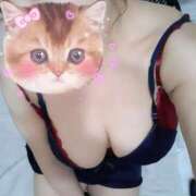 ヒメ日記 2025/07/29 02:29 投稿 ゆい トマトなび