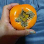 ヒメ日記 2025/11/23 15:57 投稿 ゆい トマトなび