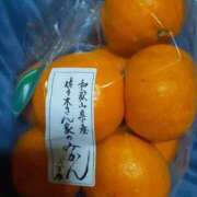 ヒメ日記 2026/01/07 02:01 投稿 ゆい トマトなび