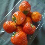 ヒメ日記 2026/03/23 15:59 投稿 ゆい トマトなび