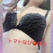 ヒメ日記 2024/12/14 22:41 投稿 ゆら トマトなび