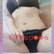 ヒメ日記 2025/02/15 18:02 投稿 ゆら トマトなび