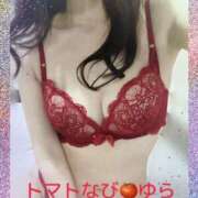 ヒメ日記 2025/03/14 17:59 投稿 ゆら トマトなび