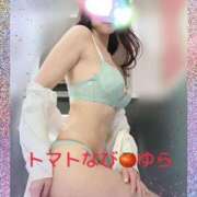 ヒメ日記 2025/03/15 07:44 投稿 ゆら トマトなび