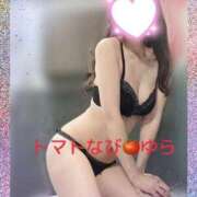 ヒメ日記 2025/03/26 21:29 投稿 ゆら トマトなび