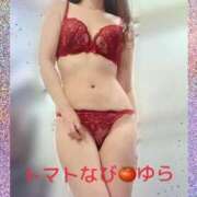 ヒメ日記 2025/03/28 08:31 投稿 ゆら トマトなび