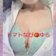 ヒメ日記 2025/03/28 16:05 投稿 ゆら トマトなび