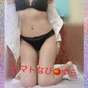 ヒメ日記 2025/04/28 08:19 投稿 ゆら トマトなび