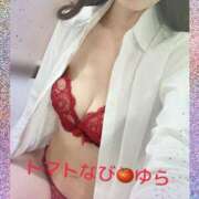 ヒメ日記 2025/04/29 08:08 投稿 ゆら トマトなび