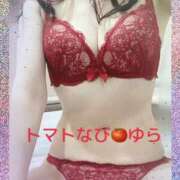 ヒメ日記 2025/05/14 14:22 投稿 ゆら トマトなび