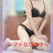 ヒメ日記 2025/05/16 08:07 投稿 ゆら トマトなび