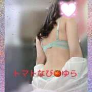 ヒメ日記 2025/05/17 08:45 投稿 ゆら トマトなび