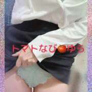 ヒメ日記 2025/07/12 08:27 投稿 ゆら トマトなび