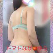 ヒメ日記 2025/07/20 23:03 投稿 ゆら トマトなび