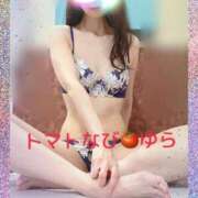 ヒメ日記 2025/08/14 18:17 投稿 ゆら トマトなび