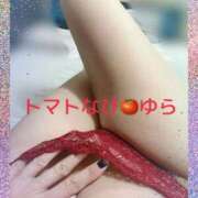 ヒメ日記 2025/08/29 19:50 投稿 ゆら トマトなび