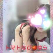 ヒメ日記 2025/09/06 17:59 投稿 ゆら トマトなび