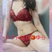 ヒメ日記 2025/10/01 11:16 投稿 ゆら トマトなび