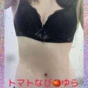 ヒメ日記 2026/02/11 18:52 投稿 ゆら トマトなび