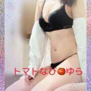 ゆら 出勤予定☆ トマトなび
