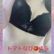 ヒメ日記 2026/03/15 22:16 投稿 ゆら トマトなび