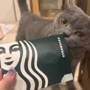 ヒメ日記 2025/06/21 12:20 投稿 にこ クラブハートDX