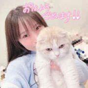 ヒメ日記 2025/11/18 08:10 投稿 にこ クラブハートDX