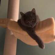 ヒメ日記 2026/03/11 23:40 投稿 にこ クラブハートDX