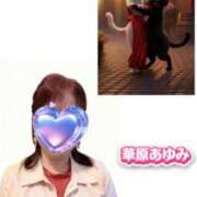 ヒメ日記 2026/01/23 06:22 投稿 華原あゆみ 五十路マダム 浜松店(カサブランカグループ)