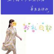 華原あゆみ 再会に歓喜 五十路マダム 浜松店(カサブランカグループ)
