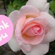 ヒメ日記 2025/08/24 17:46 投稿 なお エディーズ