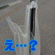 ヒメ日記 2025/10/22 10:22 投稿 なお エディーズ