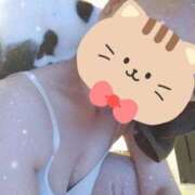 ヒメ日記 2025/11/28 10:08 投稿 なお エディーズ