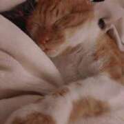 ヒメ日記 2026/02/18 07:46 投稿 なお エディーズ