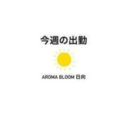 ヒメ日記 2024/06/16 17:15 投稿 日向-Hinata- Aroma Bloom（アロマブルーム）