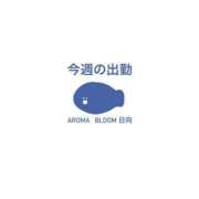 ヒメ日記 2024/06/25 20:35 投稿 日向-Hinata- Aroma Bloom（アロマブルーム）